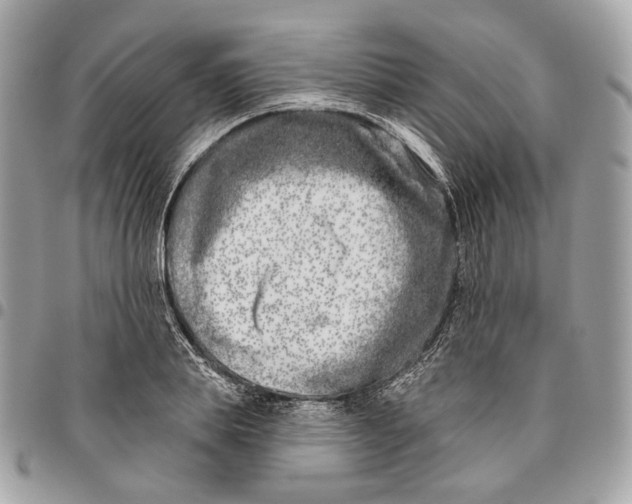 X0000096150839200802081409