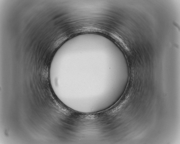 X0000096150841200802081409