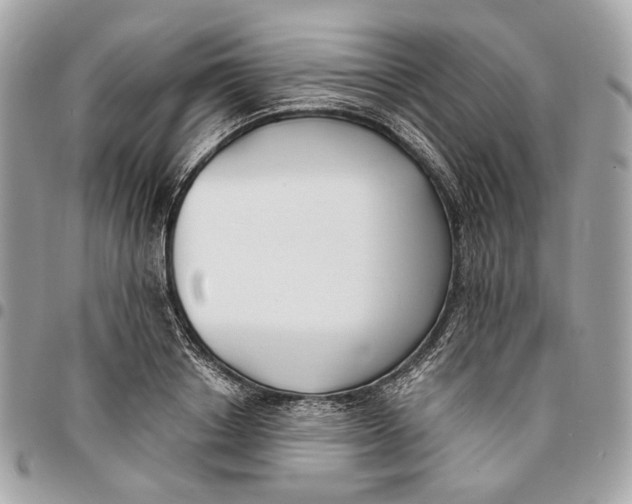 X0000096150842200802081409