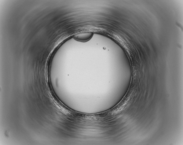 X0000096150843200802081409