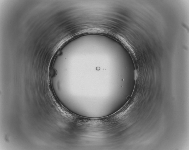 X0000096150845200802081409