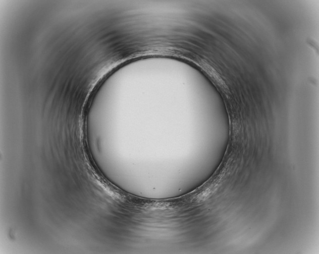 X0000096150846200802081409