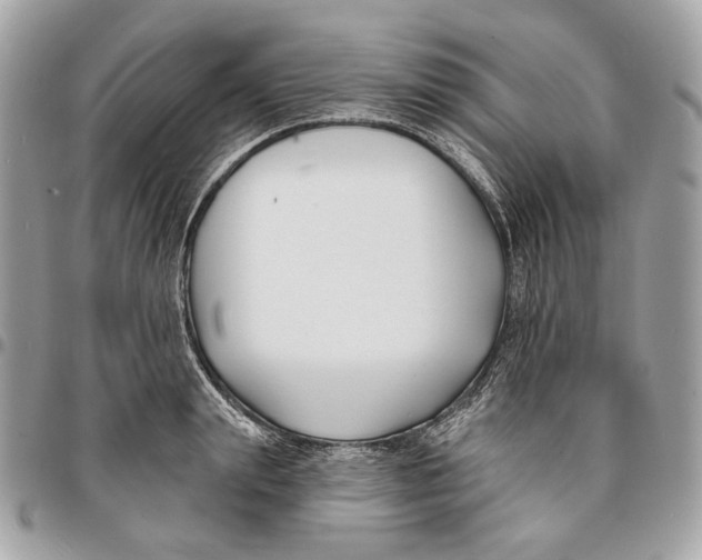 X0000096150847200802081409