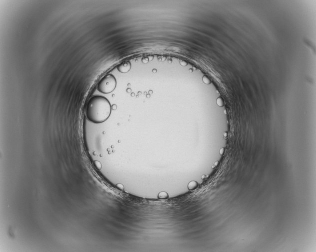 X0000096150848200802081410