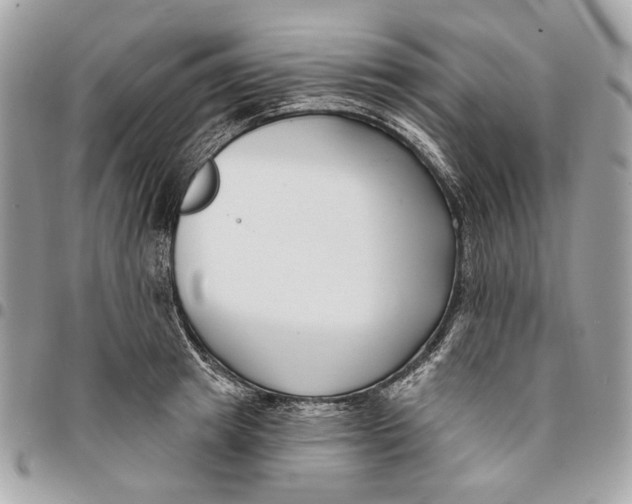 X0000096150849200802081410