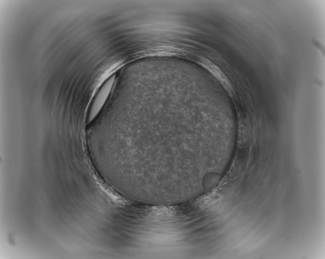 X0000096150850200802081410