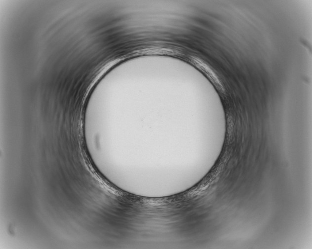 X0000096150852200802081410