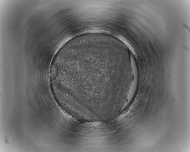 X0000096150853200802081410