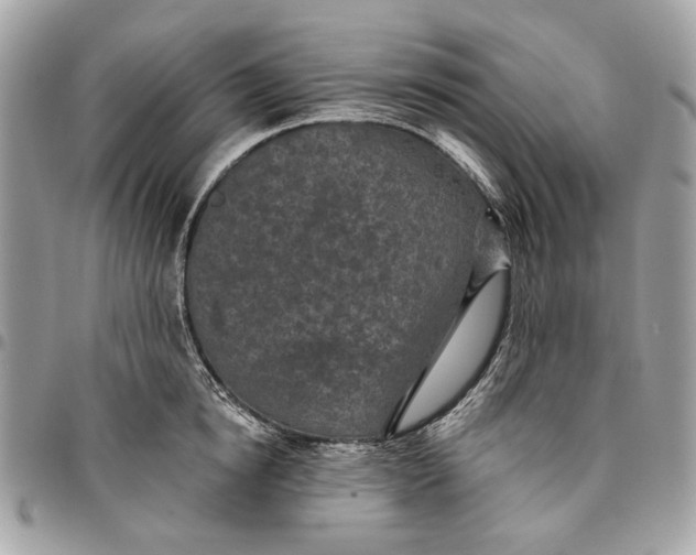 X0000096150854200802081410