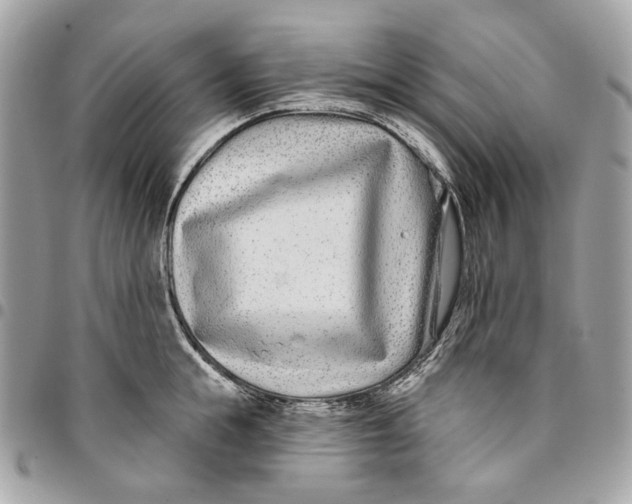 X0000096150855200802081410