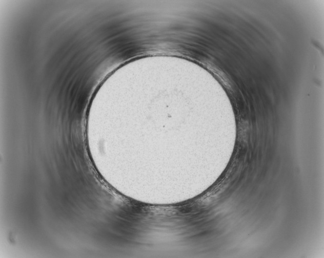 X0000096150856200802081410