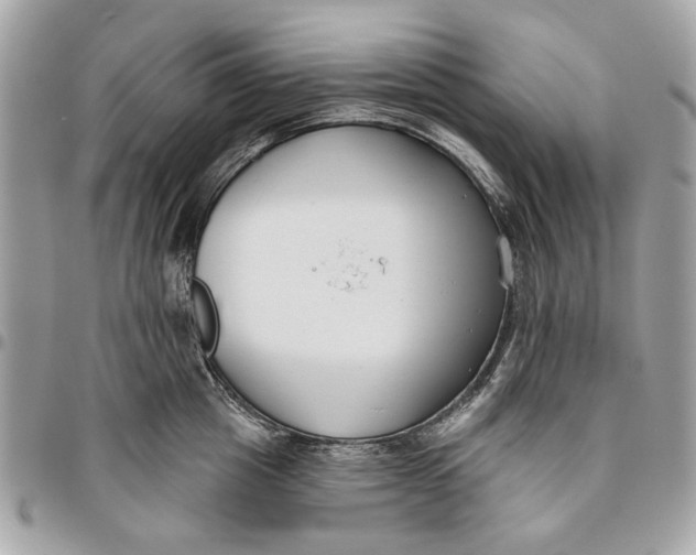 X0000096150857200802081410