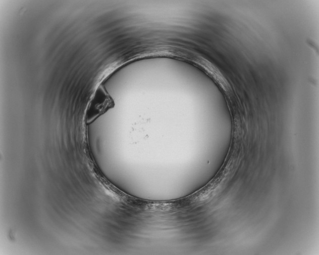 X0000096150858200802081410