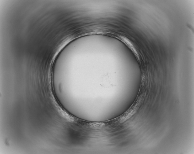 X0000096150859200802081410