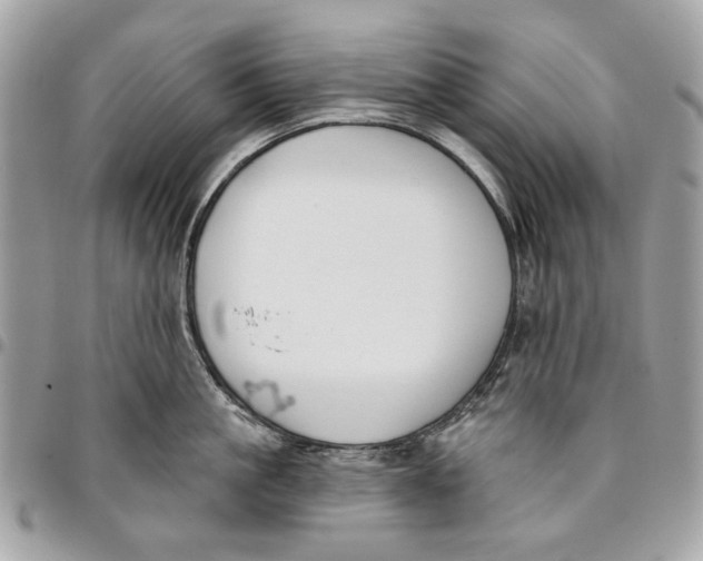 X0000096150861200802081410