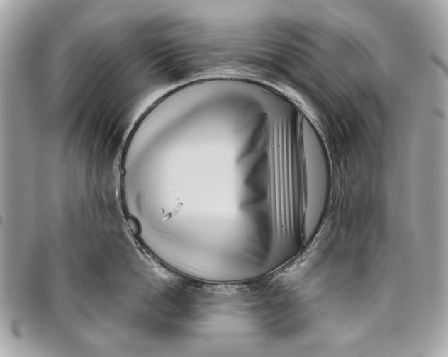 X0000096150862200802081410