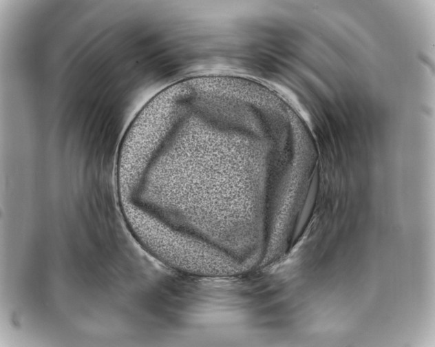 X0000096150863200802081410