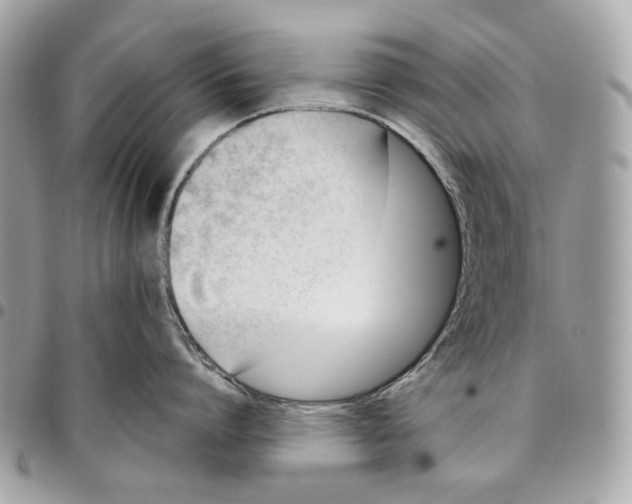 X0000096150864200802081410