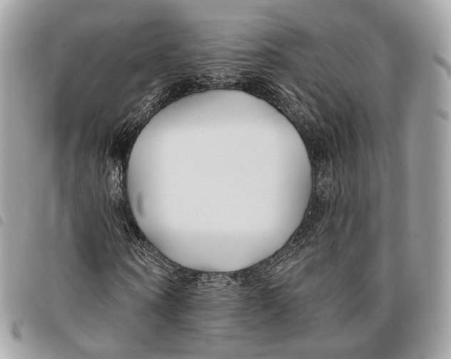 X0000096150866200802081409