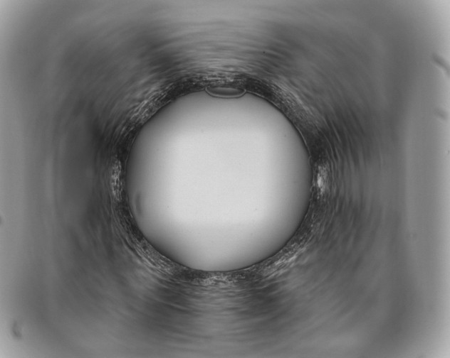 X0000096150867200802081409