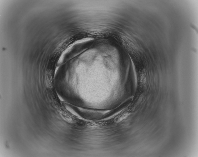 X0000096150868200802081409