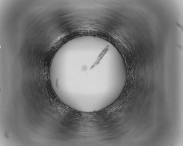 X0000096150870200802081409