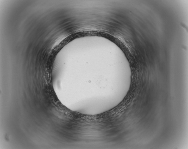 X0000096150871200802081409