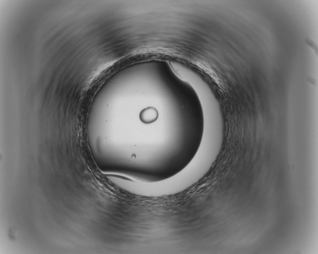 X0000096150872200802081409