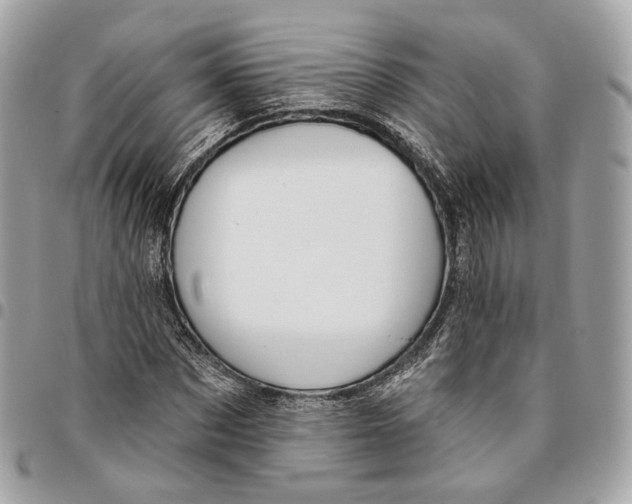 X0000096150873200802081409