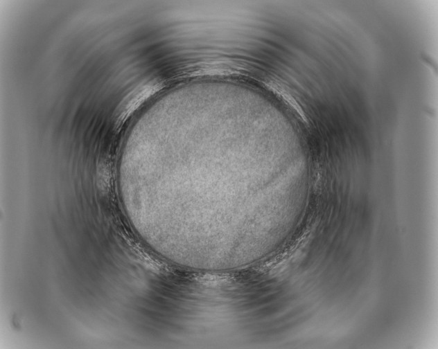 X0000096150874200802081409