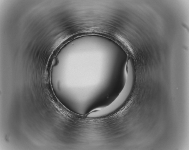 X0000096150876200802081409