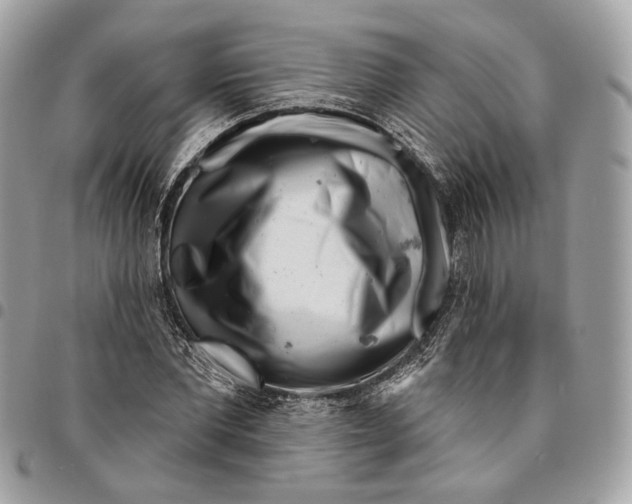 X0000096150877200802081409