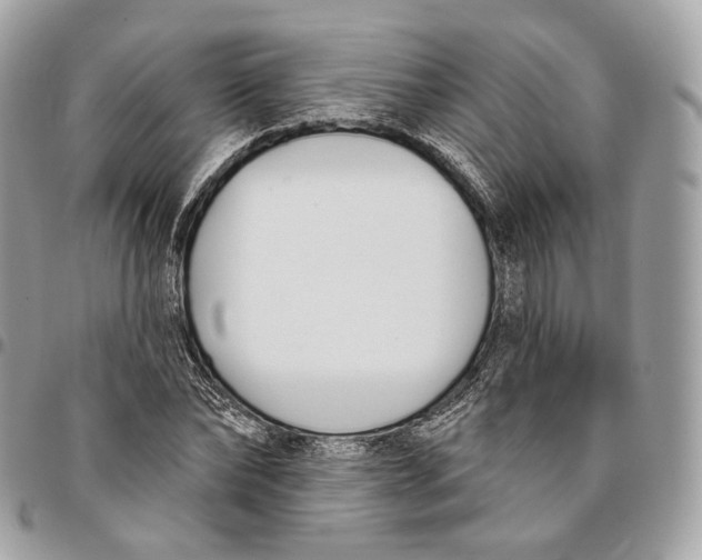 X0000096150878200802081409