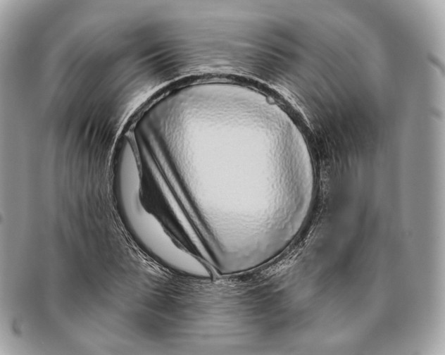 X0000096150879200802081409