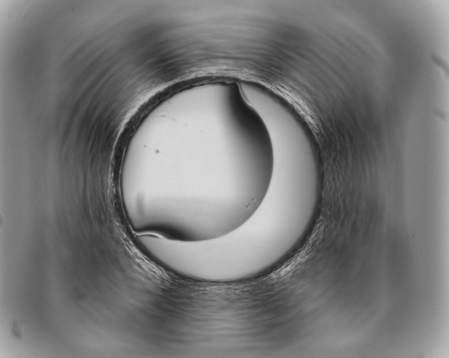 X0000096150880200802081409