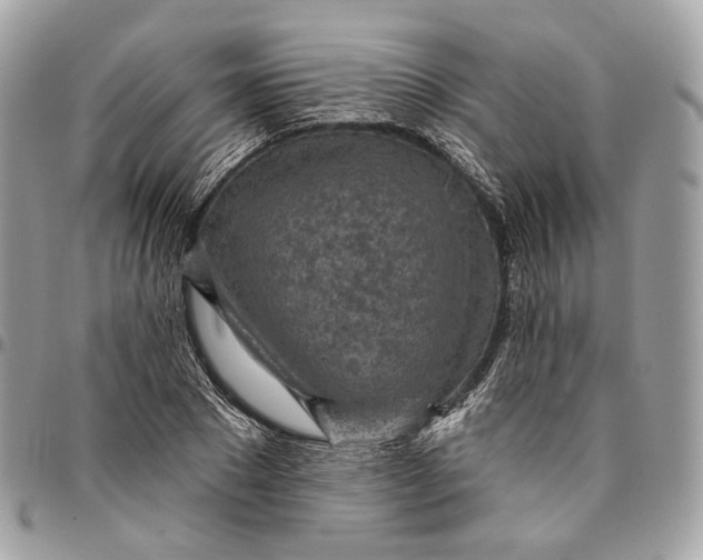 X0000096150881200802081409