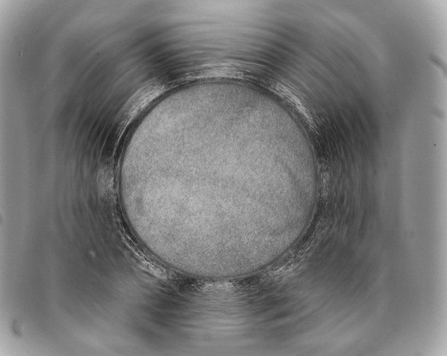 X0000096150882200802081409