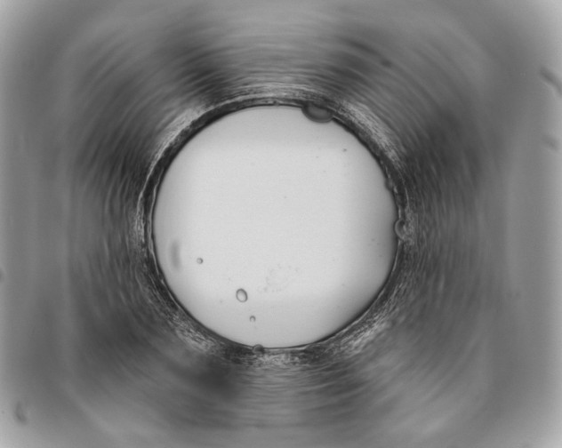 X0000096150883200802081409