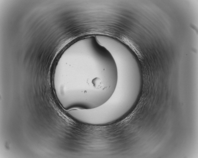 X0000096150884200802081409