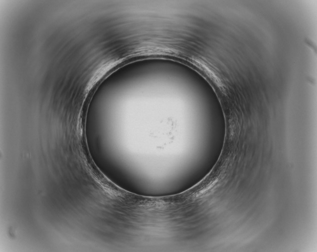 X0000096150885200802081409