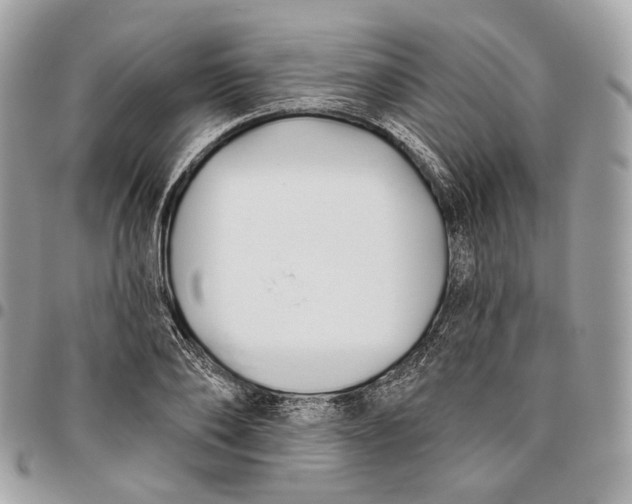 X0000096150886200802081409