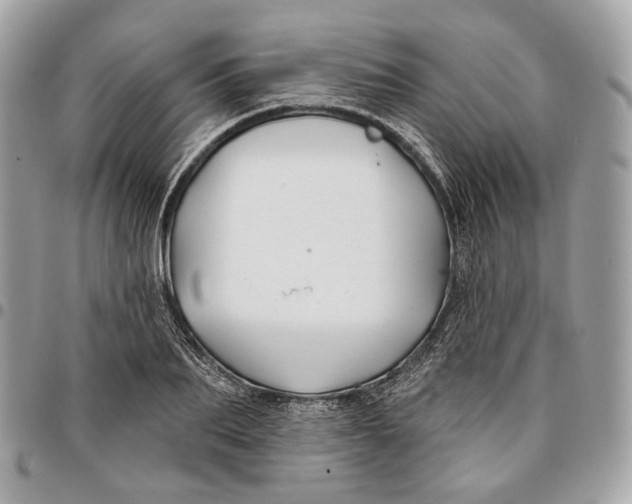 X0000096150887200802081409