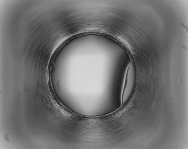 X0000096150888200802081409