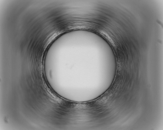 X0000096150890200802081409