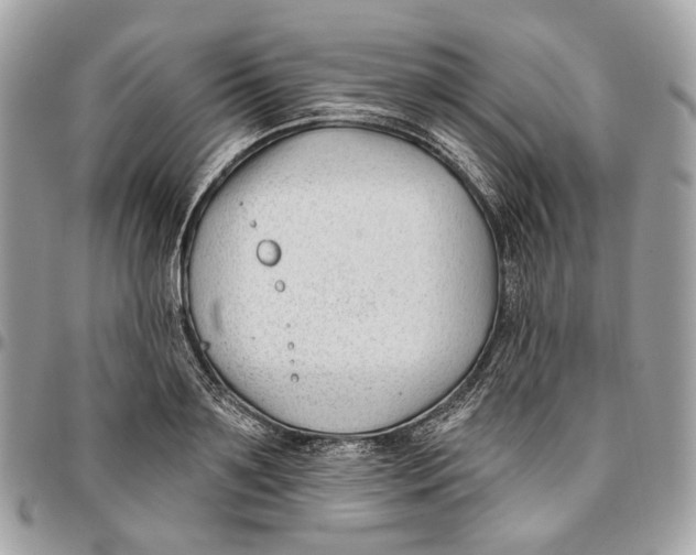 X0000096150891200802081409