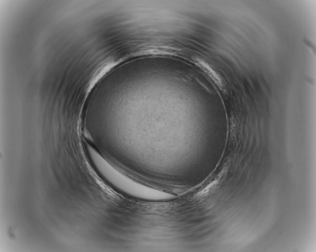 X0000096150893200802081409