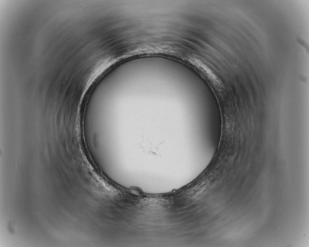 X0000096150894200802081409