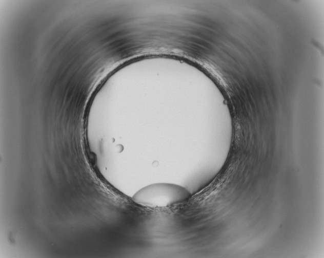 X0000096150895200802081409