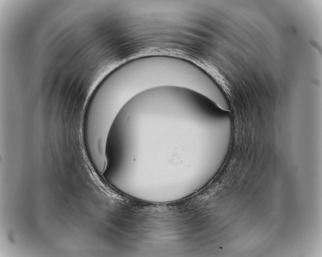 X0000096150896200802081409