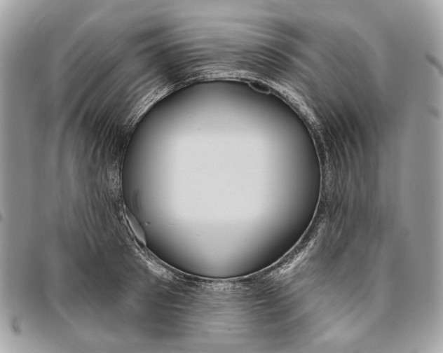 X0000096150897200802081409